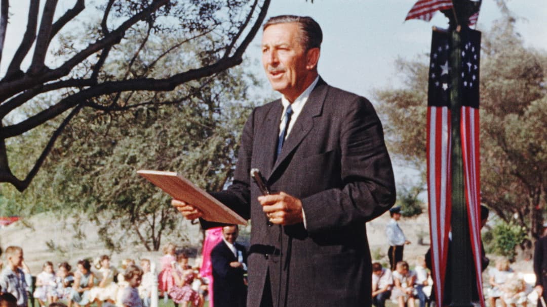 Disneyland Handcrafted backdrop 4