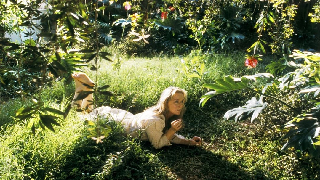 Adaptation. backdrop 2