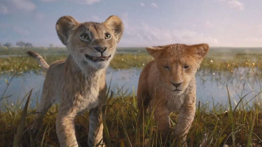 Mufasa: The Lion King backdrop 16