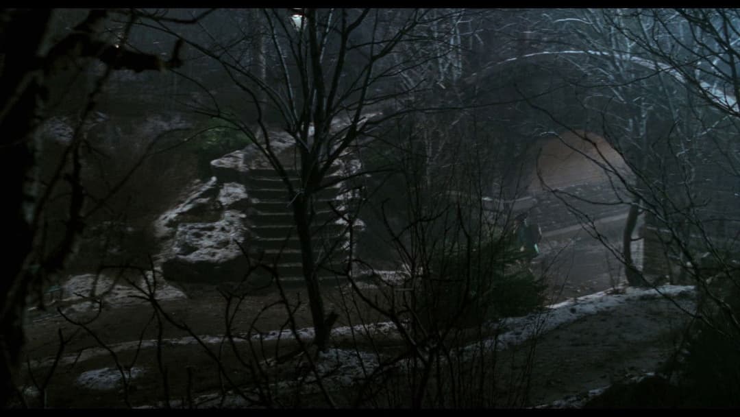 Kevin - Allein in New York backdrop 7