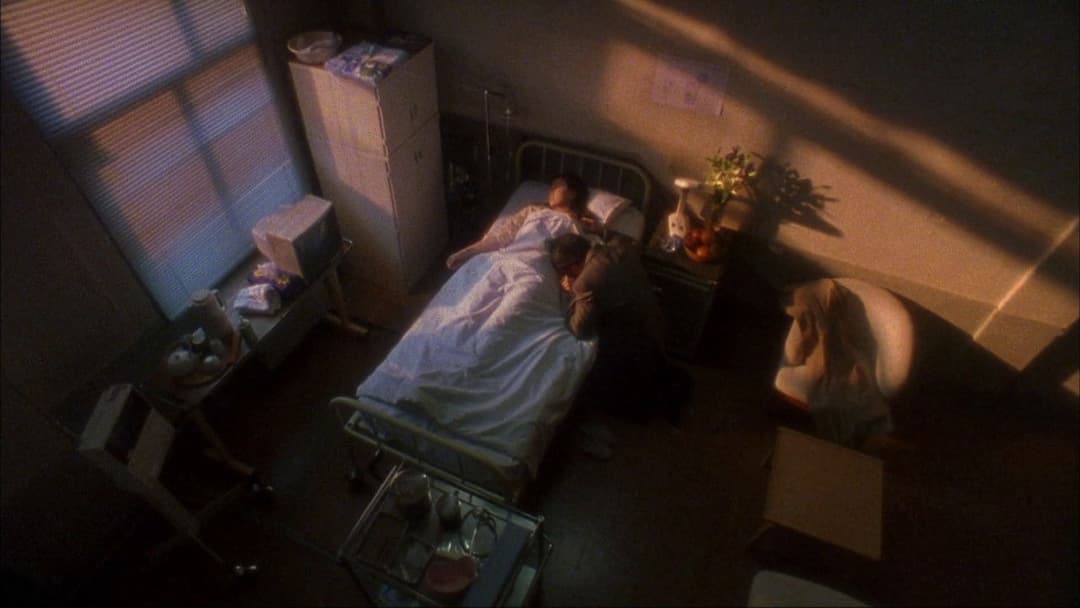 Audition backdrop 19