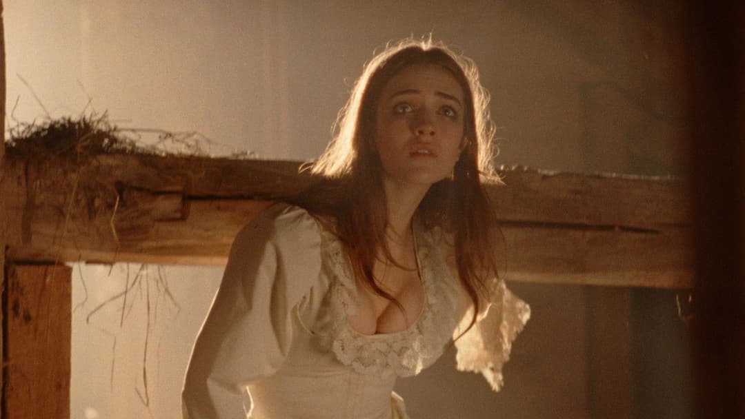 Дивотріп backdrop 18