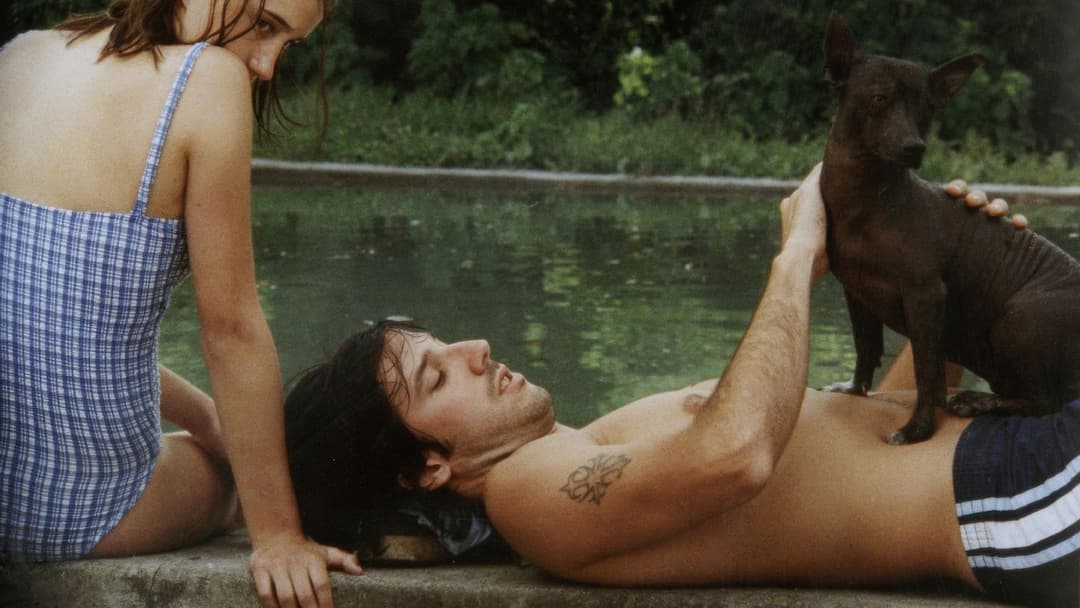 La Ciénaga backdrop 1