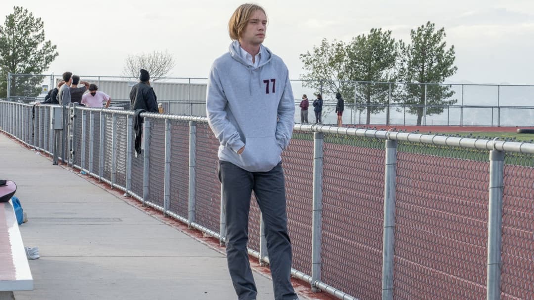 Wildflower backdrop 9