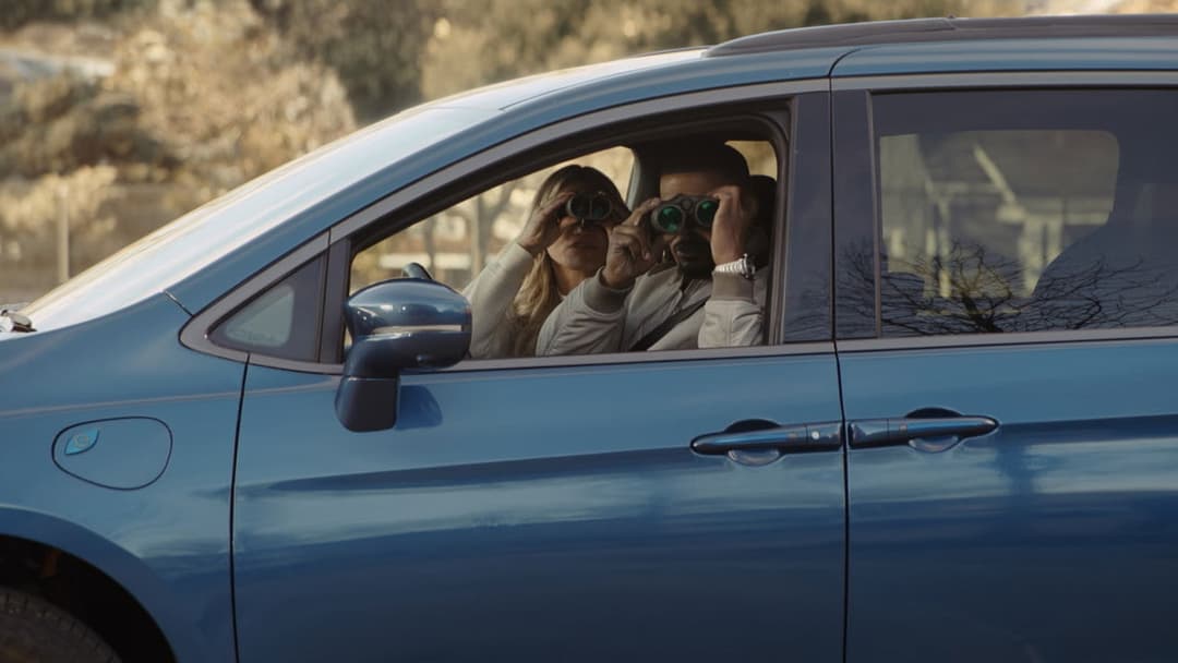 Back in Action backdrop 4