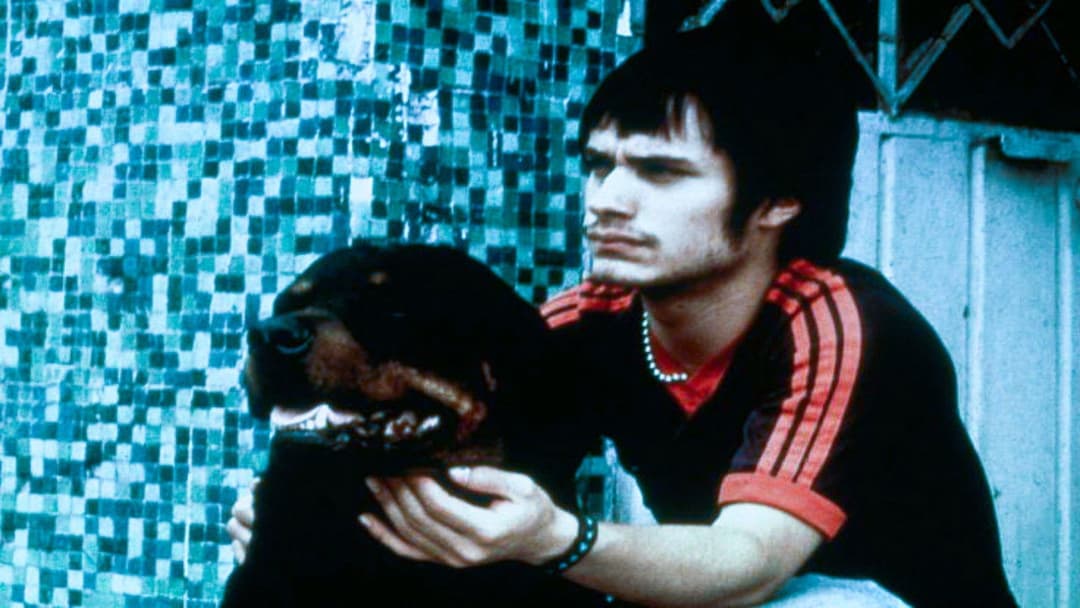 Amores perros backdrop 16