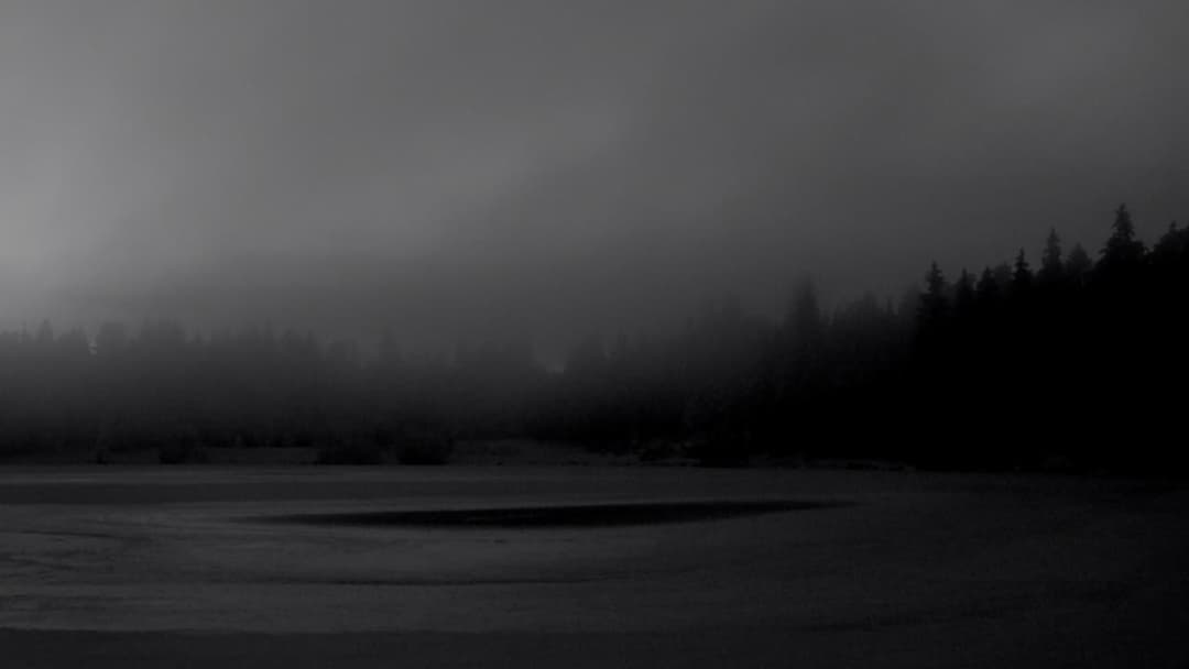 P.U.N.E.L.D. backdrop 1