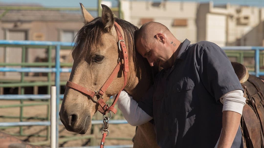The Mustang backdrop 6