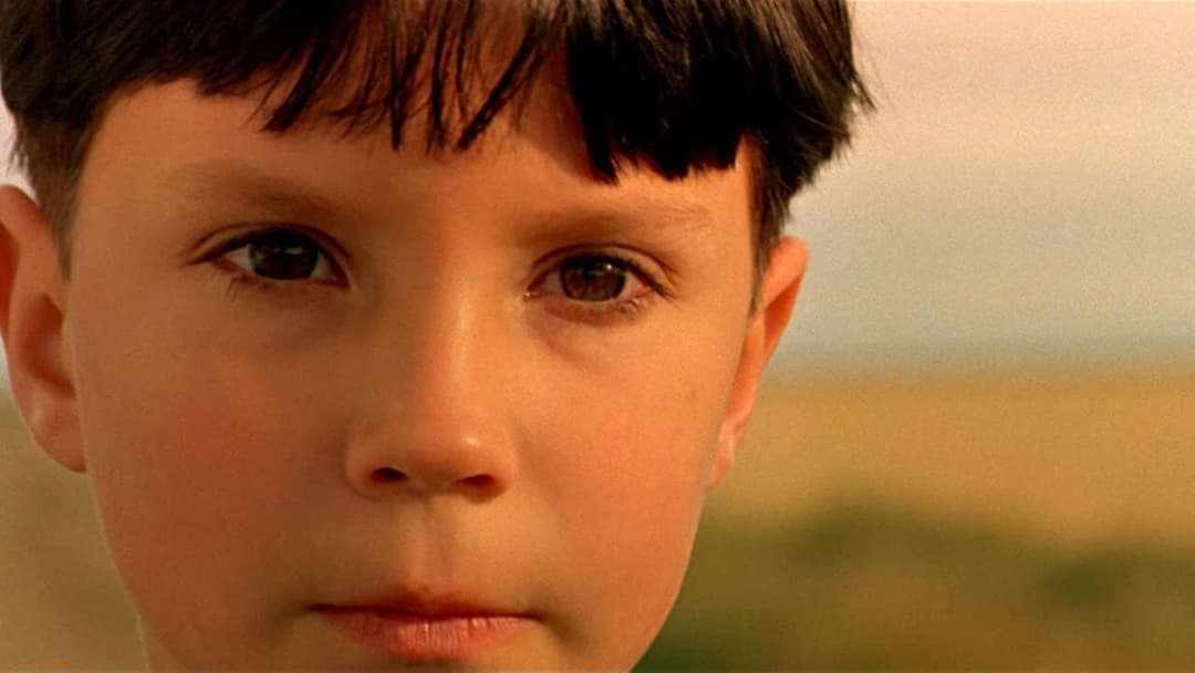 The Reflecting Skin backdrop 5