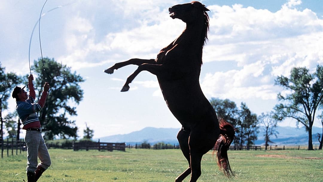 Заклинач backdrop 5