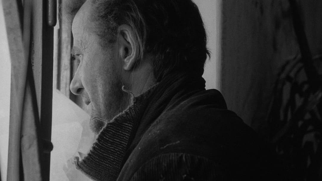 Satantango backdrop 4