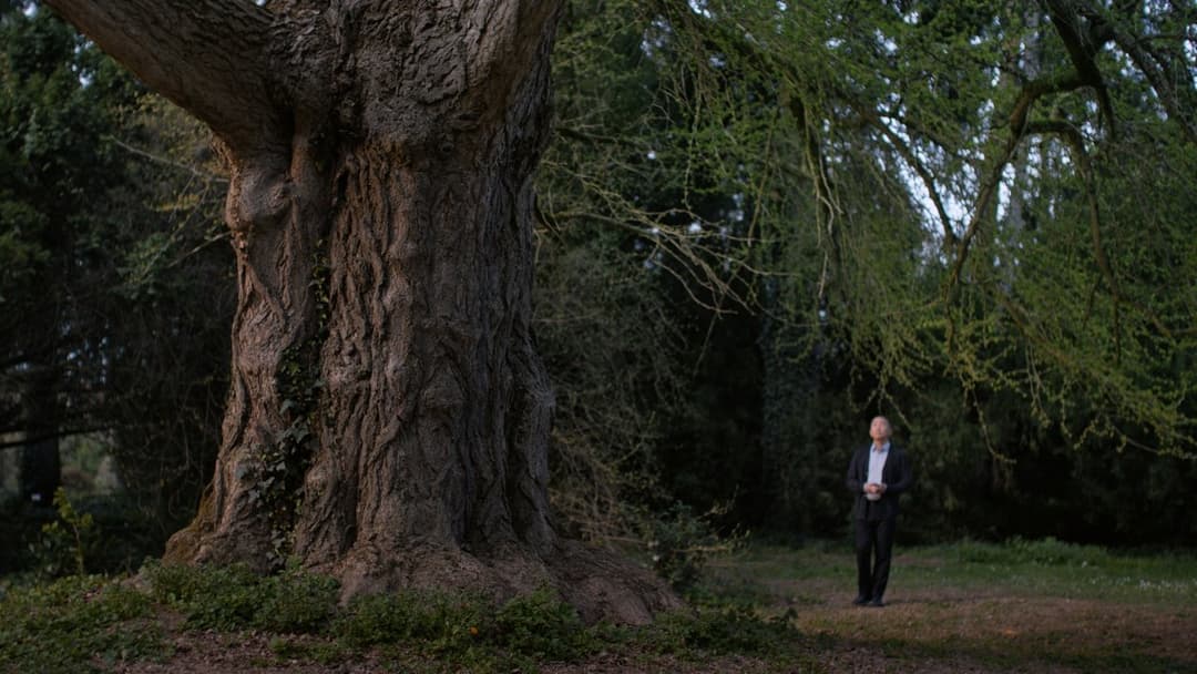 Безмовна подруга