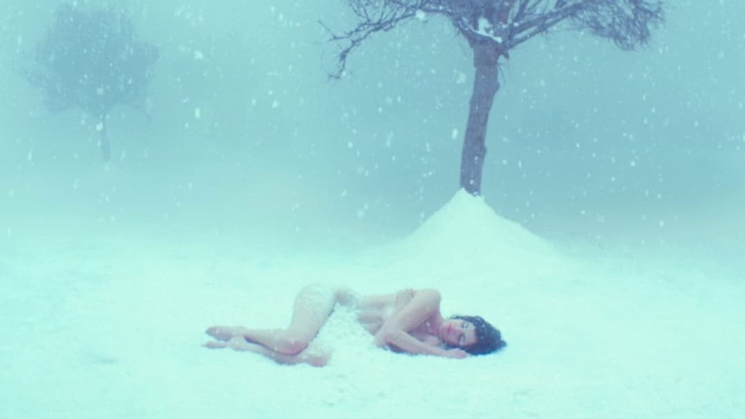 Білий птах у хуртовині backdrop 2