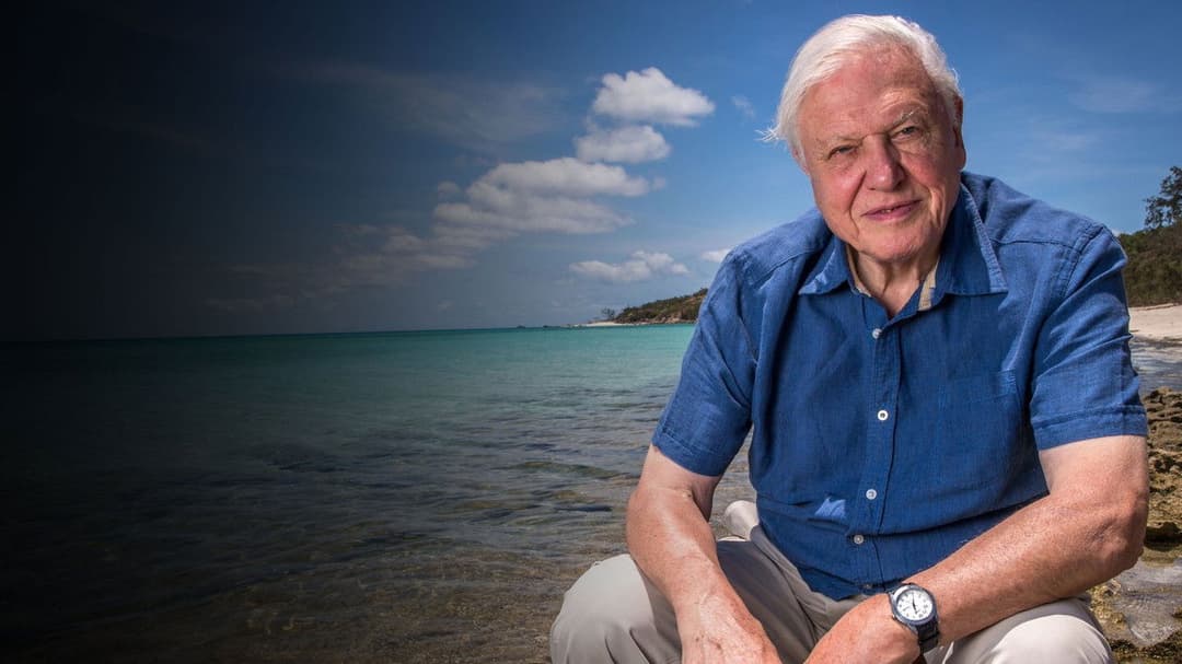 David Attenborough: Mein Leben auf unserem Planeten backdrop 5