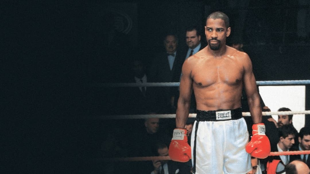 Hurricane backdrop 4