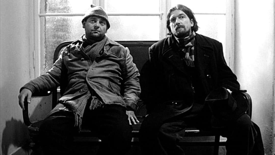 Satantango backdrop 18