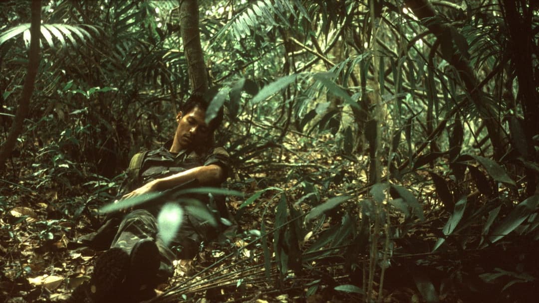 Tropical Malady backdrop 8