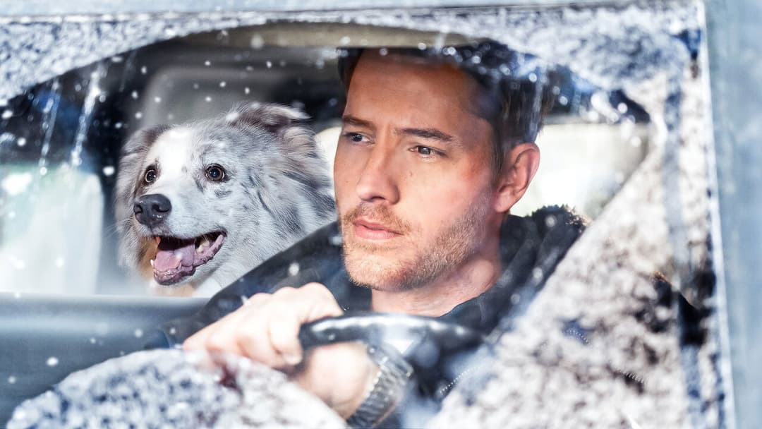 The Noel Diary backdrop 2