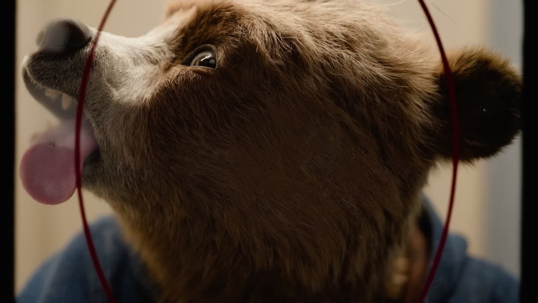 Paddington in Peru backdrop 18