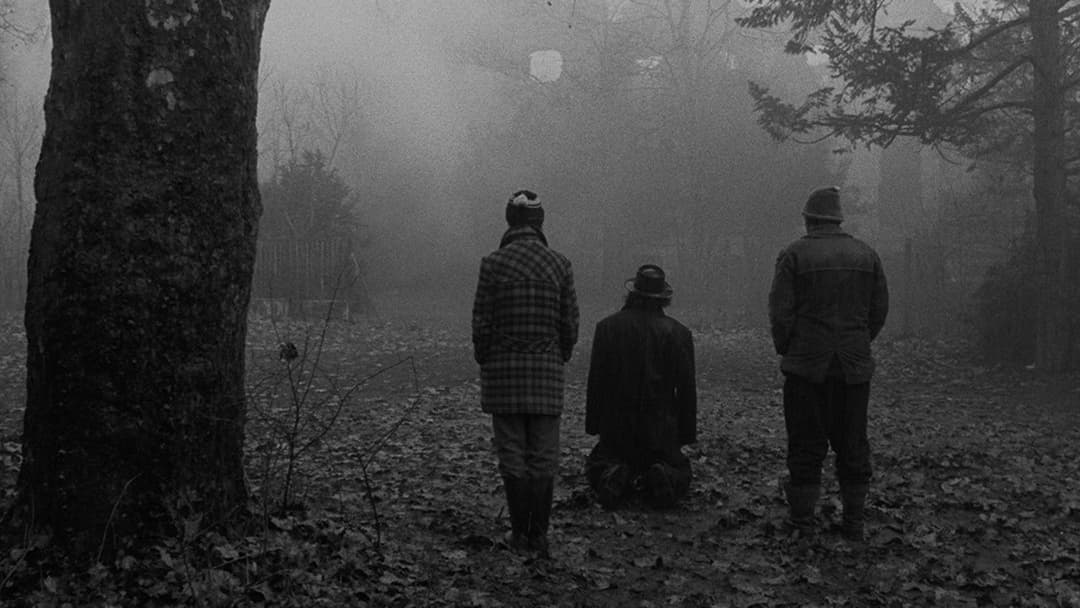 Satantango backdrop 2