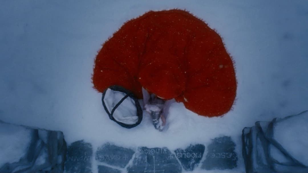 Red Riding Hood - Unter dem Wolfsmond backdrop 16