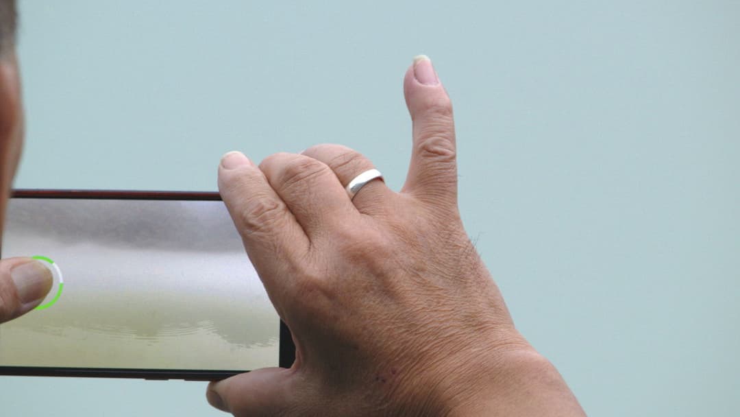 The Rib of the Greater Bay Area backdrop 1