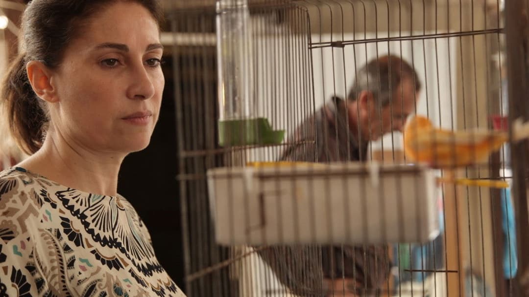 The Insult backdrop 14