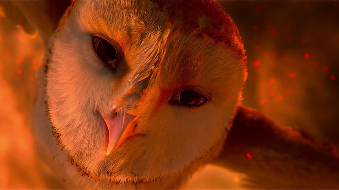 Legend of the Guardians: The Owls of Ga'Hoole backdrop 11