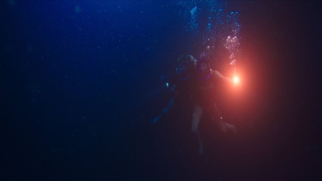 47 Meters Down backdrop 6