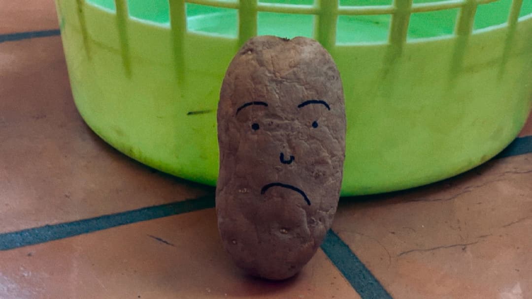 Language Lessons backdrop 8