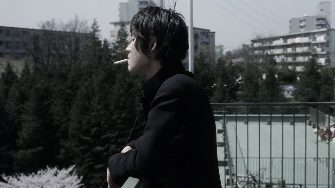 Блакитна весна backdrop 16