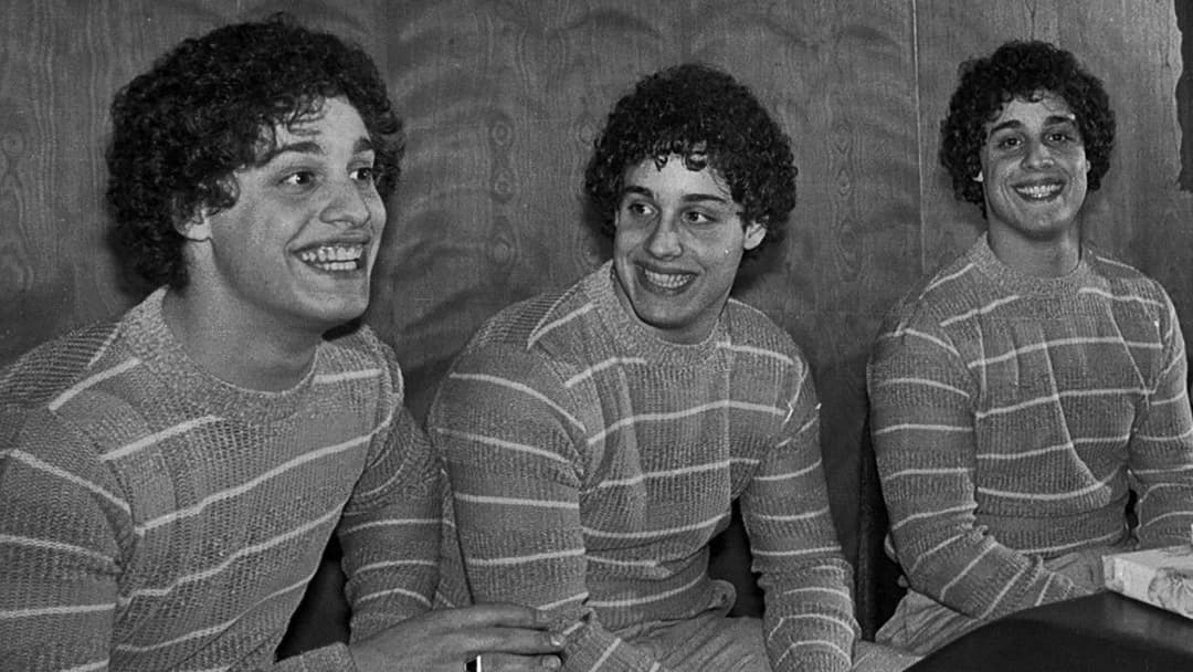 Three Identical Strangers backdrop 3