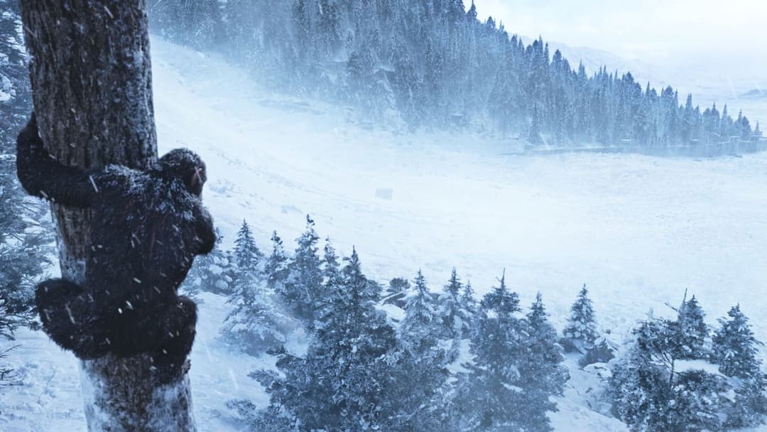 War for the Planet of the Apes backdrop 13