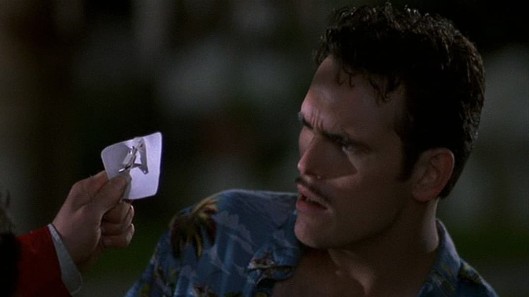 There's Something About Mary backdrop 19