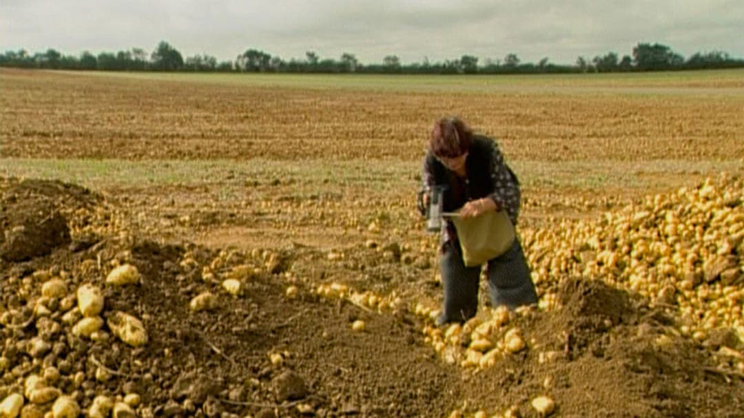 The Gleaners and I backdrop 5