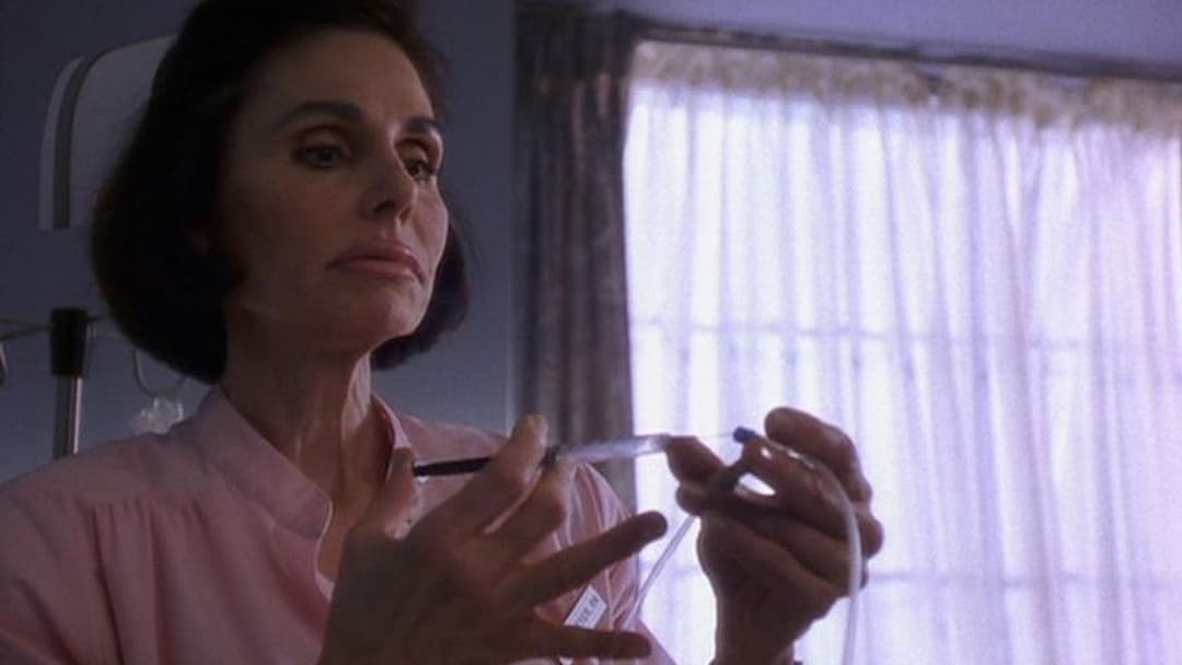 Місіс Вінтерборн backdrop 4