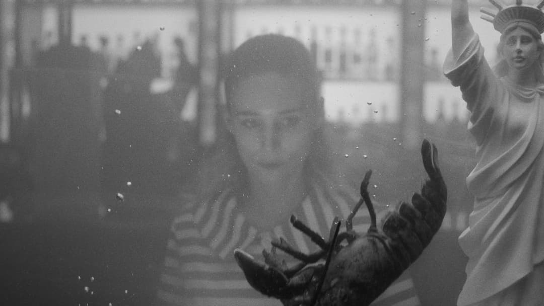 La Cocina - Der Geschmack des Lebens backdrop 13