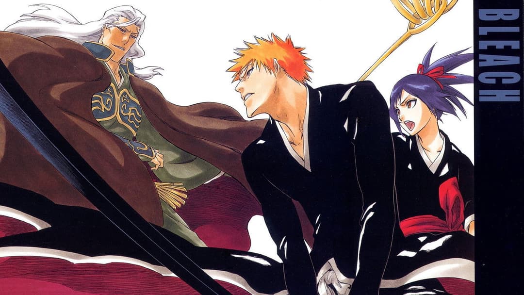 Бліч: Спогади в забутті backdrop 8