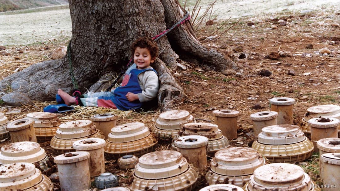 Turtles Can Fly backdrop 11