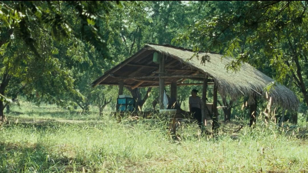 Uncle Boonmee Who Can Recall His Past Lives backdrop 7