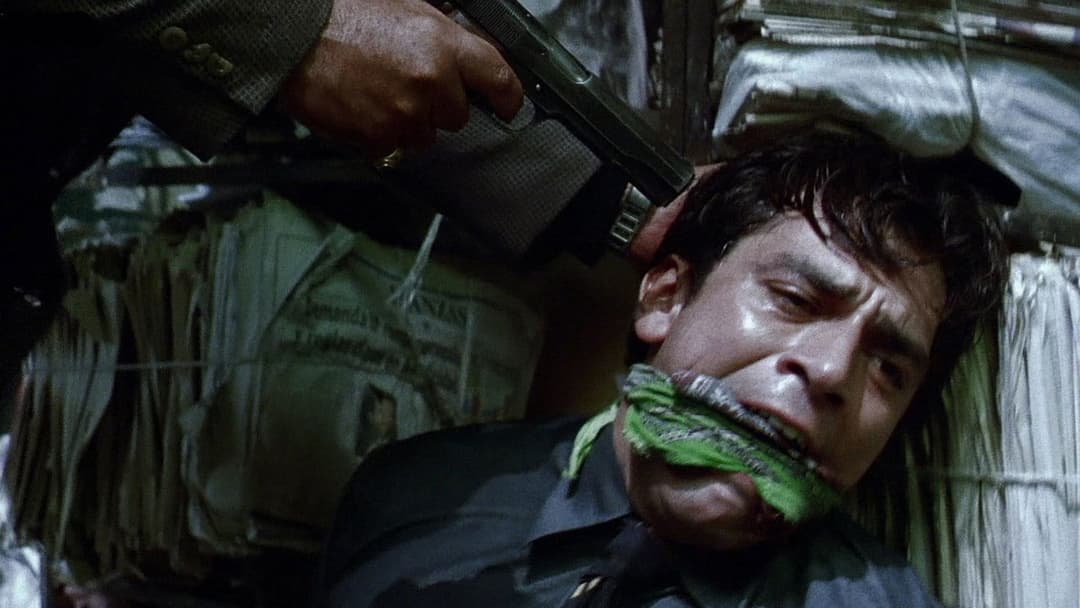 Amores perros backdrop 7