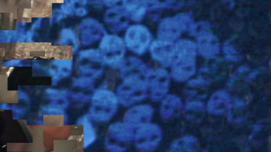 Noroi: The Curse backdrop 16