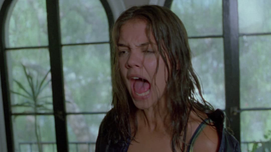 Go! Das Leben beginnt erst um 3.00 Uhr morgens backdrop 16