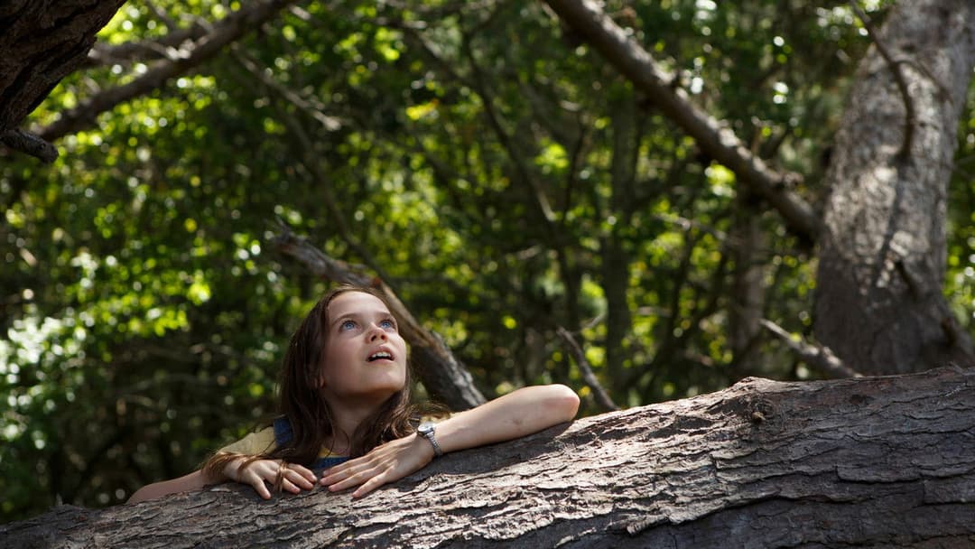 Pete's Dragon backdrop 20