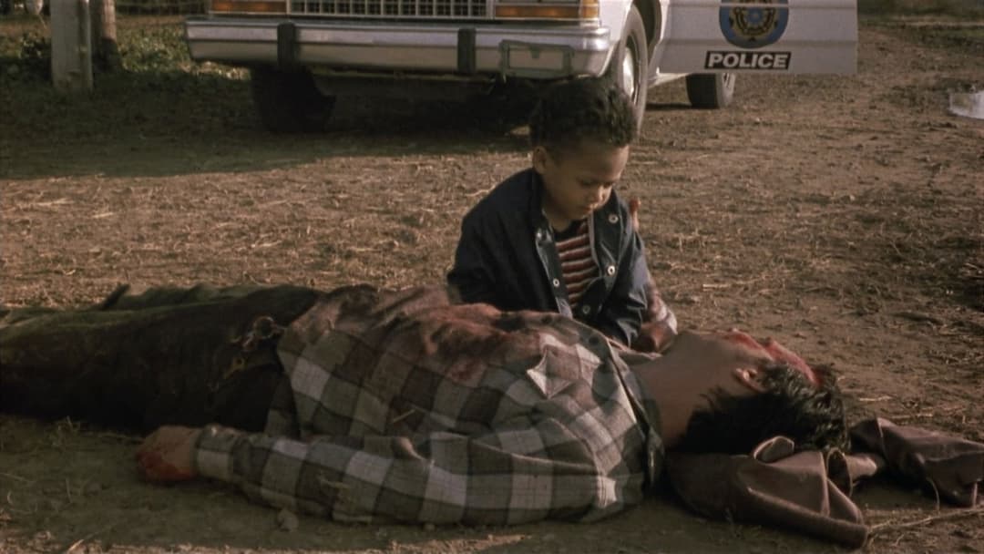 Один хибний хід backdrop 16