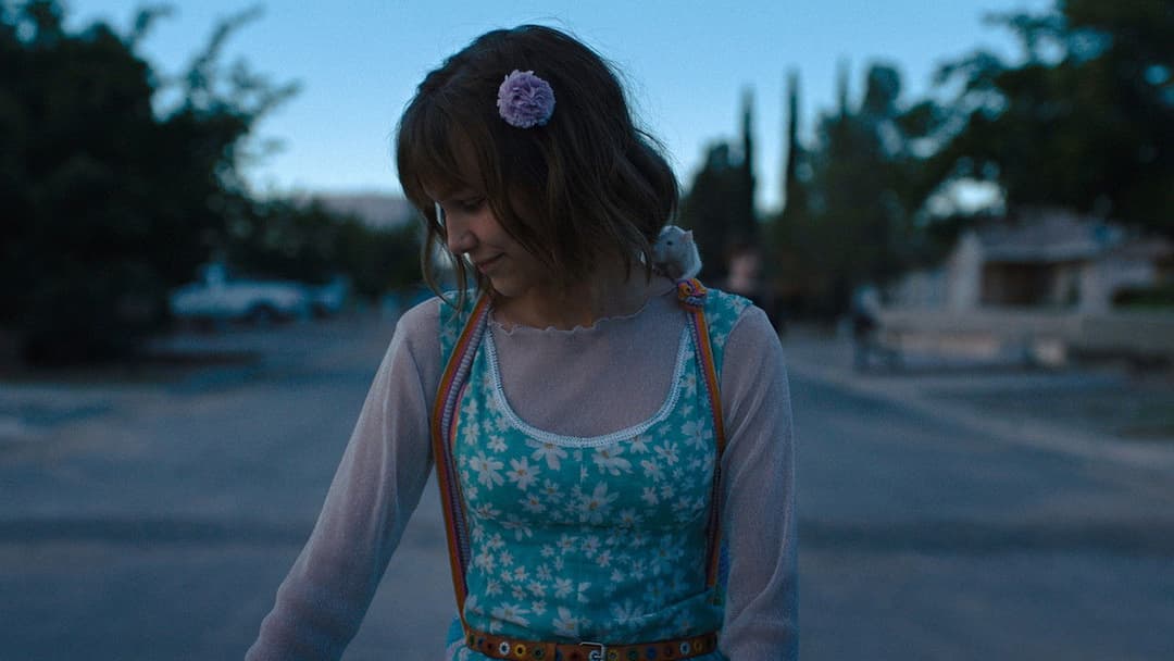 Старґьорл backdrop 3