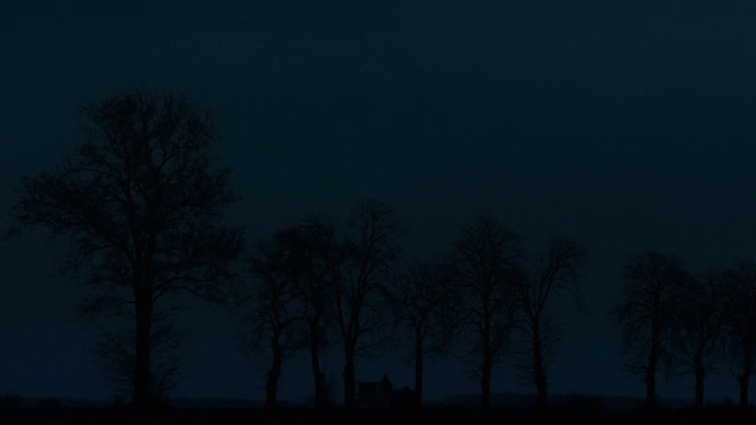 The Ugly Stepsister backdrop 6