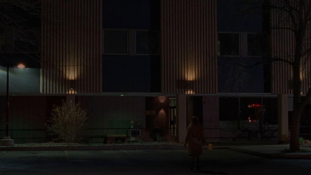 Деякі жінки backdrop 9