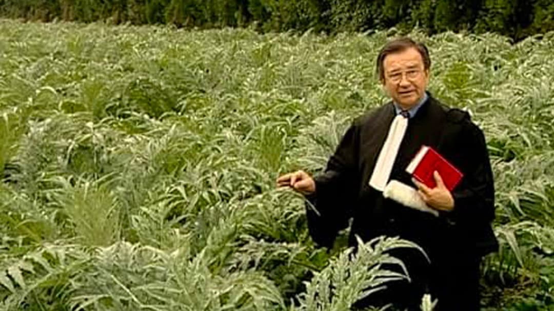 The Gleaners and I backdrop 2