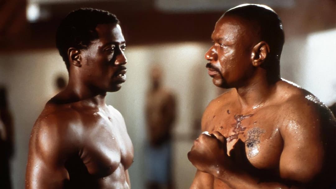 Undisputed backdrop 2